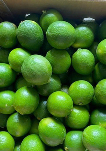 Limones a granel sin semillas a precios económicos de Bao Tram Anh, proveedor de productos agrícolas de Vietnam - Product Image 2