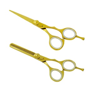 Professional Hair Scissors Thinning <b>Shears</b> 6.0 Inch Stainless Steel 440C Right Handed Beauty Salon Tools - Product Image 1