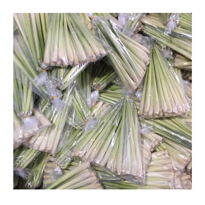 Acheter des bâtonnets de citronnelle congelés IQF de haute qualité et fraîcheur garantie, idéal pour un usage culinaire, prix compétitif - Product Image 1