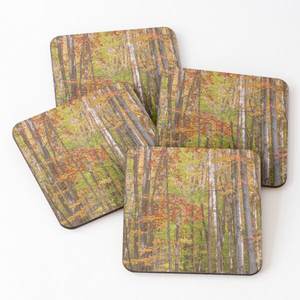 Los mejores posavasos de té o café esmaltados impresos para decoración del hogar y hoteles por fabricante y exportador indio STAR CRAFTS INDIA - Product Image 6