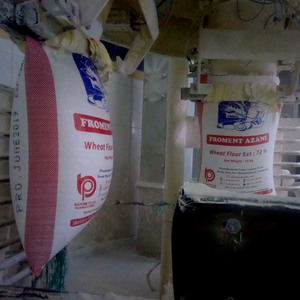 Froment Azani 25kg Farine de blé à pain | Qualité T55 | Extraction 72% | Fabriqué en Egypte | Idéal pour le marché africain | Approvisionnement en vrac - Product Image 5