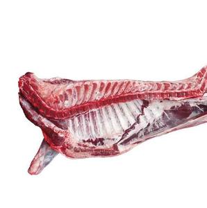 Carcasse de bœuf halal congelée / Pieds de bœuf congelés / Tête de bœuf congelée - Product Image 1