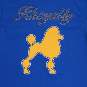 Sigma Gamma Rho Royal Blue Women Football Jersey with Embroidered Logos <b>Studded</b> Front Shoulder Design Lightweight Polyester Top - Product Image 6