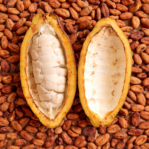 Fèves de cacao d'origine brésilienne, traitement hollandais, fèves de cacao de qualité A, fèves de cacao en gros, 10 kg - Product Image 1