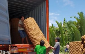 Le tapis de fibre de coco tendance disponible au prix le plus bas fabriqué au Vietnam tapis écologique durable de haute qualité - Product Image 4