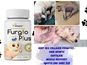 Cao Cấp Lớp Furglo Cộng Với Máy Tính Bảng Hỗ Trợ Vật Nuôi Cơ Bắp Và Doanh Di Động Pet Probiotics Cho Tiêu hóa Sức Khỏe - Product Image 5