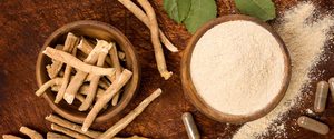 Adaptógeno Natural de Alta Demanda para el Alivio del Estrés Disponible a Granel de un Exportador Indio, Polvo de Raíz de Ashwagandha Natural Puro - Product Image 6