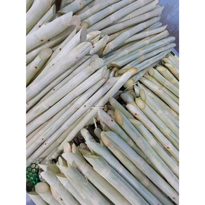 Varitas de caña de azúcar congeladas orgánicas a granel de Vietnam, naturalmente dulces y frescas, perfectas para hacer jugo y distribución internacional - Product Image 4