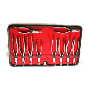 Lot de 10 pinces d'extraction Kit d'extraction Instruments dentaires en acier inoxydable - Product Image 2