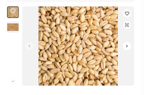 Blé dur biologique de qualité supérieure, grains de blé tendre et dur de haute qualité, goût délicieux, ventes chaudes - en stock, achetez maintenant ! - Product Image 6