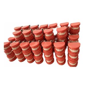 Modelo de diente estándar dental 28 dientes modelo de dientes práctico - Product Image 6