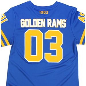 Albany State University T-shirt de football personnalisé HBCU College Team Apparel T-shirt de sport en tricot de coton pour l'été décontracté - Product Image 6