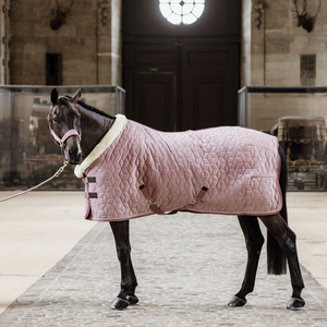 Tapis de Protection contre l'eczéma du cheval, fabrication de la meilleure qualité, Long et Durable, drap de cheval, tapis d'été à bas prix - Product Image 4