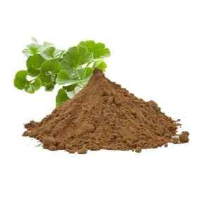 Extracto de Ginkgo Biloba, Materia Prima Botánica, Polvo de Grado Industrial para Procesamiento de Alimentos B2B y Uso en Fabricación Industrial - Product Image 1