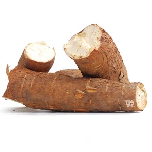 Manioc frais à haute teneur en amidon Manioc frais naturel en vrac Parfait pour la transformation industrielle et la distribution en gros - Product Image 2