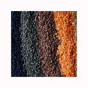 Calidad superior 1 kg Legumbres secas saludables Pulsos Frijoles Lentejas-Lentejas Rojas Lentejas Envasado de alimentos para la venta - Product Image 1