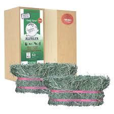 หญ้าแห้งทิโมธีสำหรับอาหารสัตว์หญ้าแห้ง - Product Image 3