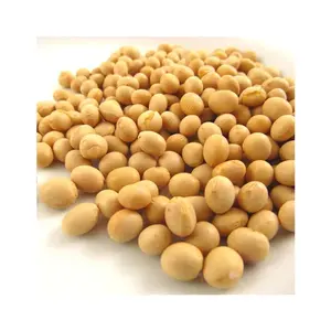 High quality soya beans yellow soybean soybean supplier