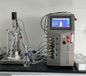Bailun 10L bioréacteur par lots alimenté bioréacteur par lots bioréacteur en verre l utilisé pour les BLBIO-GJ de culture microbienne - Product Image 5