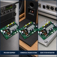 Carte d'amplificateur de puissance stéréo numérique de classe D 2x100W 12-24V pour système audio domestique, vente en gros, fabricant OEM, assemblage de haut-parleurs