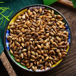 Teh <span class=keywords><strong>Barley</strong></span> Panggang dalam Kantong, Teh Herbal Bebas Kafein, Grosir, Layanan Label Pribadi, Pabrik OEM/ODM Teh <span class=keywords><strong>Barley</strong></span> - Product Image 3