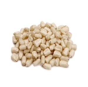Maíz blanco de primera calidad a la venta Maíz no OGM de alta calidad Ideal para varios usos culinarios y agrícolas - Product Image 6