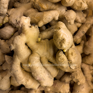 Raíz de jengibre fresco Premium de Vietnam, calidad de exportación a granel para exportación - Product Image 5