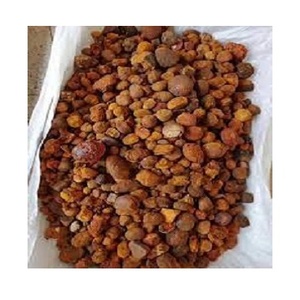 Cálculos Biliares de Buey/Vacas, Cálculos Biliares de Vaca, Comprar Cálculos Biliares de Vaca en Venta - Product Image 6