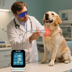 Perangkat Perawatan Laser Non-Invasif untuk Anjing, Obat Pereda Nyeri Kelas Medis untuk Hewan Peliharaan - Product Image 1
