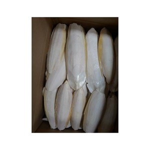 Huesos de sepia congelados de alta calidad para el cuidado de las aves de compañía disponibles a precio mayorista - Product Image 6