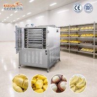 Mesin Pengering Beku Buah Bahan Stainless Steel 304 Bersertifikasi ISO9001 untuk Buah, Durian, Nangka & Manggis