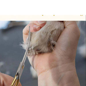 Professional Stainless Steel Portable Luxury Pet Grooming <b>Curved</b> <b>Scissors</b> Multi-functional Hair Cutting Shear - Product Image 6
