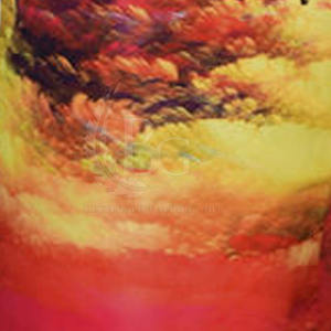 Meilleure vente Short décontracté en coton séchage rapide respirant logo personnalisable sublimation motif solide teint uni écologique - Product Image 6