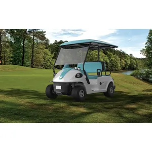Chariot de golf bon marché/chariot de golf de 2 sièges/chariot de golf