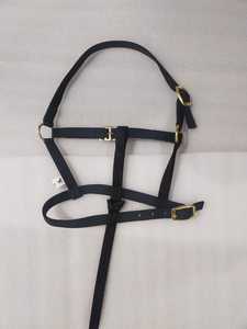 Cabestro Premium BLUHORSE BH-914 para Potros, con Herrajes Cromados, Correa de Nailon al por Mayor para Caballos Pequeños, Duradero, Cómodo y Multifuncional - Product Image 4