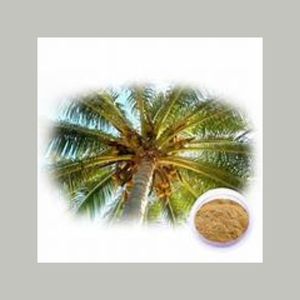 Extracto de Raíz de Saw Palmetto 99% Puro en Polvo, Grado Alimenticio, para la Salud de la Próstata, la Pérdida de Cabello y el Equilibrio Hormonal - Product Image 1