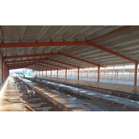 Poulaillers industriels /hangar poulet / ferme avicole