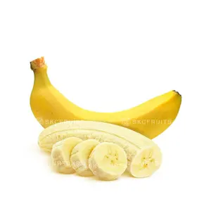 新鲜卡文迪许香蕉高品质，价格有竞争力