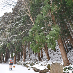 [Insidedog&cat] Mochila Grande para Mascotas, Transportín Grande para Mascotas, Bolsa de Viaje Ventilada para Mascotas, Mochila Cómoda para Mascotas, Transportín para Mascotas al Aire Libre - Product Image 2