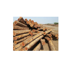 Construction Materials for Sale 100% Pure Timber <b>Logs</b> Teak <b>Wood</b> / Oak <b>Wood</b> <b>Logs</b> / Pine <b>Wood</b> <b>Logs</b> Best Price 100% Raw - Product Image 1