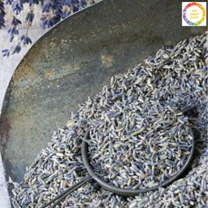 Lavender Buds Flower Material seco natural a granel para proyectos artesanales de decoración del hogar y eventos de Vietnam - Product Image 6