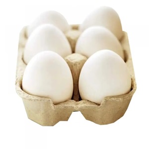 Œufs de poule, œufs de poule fécondés, œufs de table frais, œufs bruns... - Product Image 6