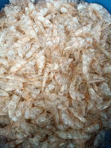 Conchas de camarón secas Premium de Vietnam para distribución global - Product Image 6