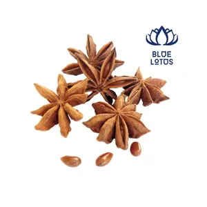 Preium Vietnam Dried Anise - Top Vietnam Hot Product And High Quality