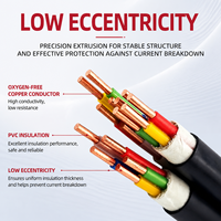 Cable de Alimentación de Cobre VV 0.6/1kV, Aislado con PVC, Revestimiento de PVC, Cable Eléctrico de Bajo Voltaje para Distribución de Energía