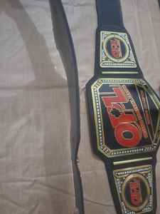 เข็มขัดมวยปล้ำโอปอลเข็มขัดแชมป์สหรัฐอเมริกาโลโก้ออกแบบได้ตามต้องการอุปกรณ์ศิลปะการต่อสู้แบบใหม่ - Product Image 2