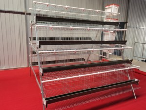 Venta caliente personalizada multicapa tipo a riego automático y eliminación de estiércol capa colectora jaula para pollos - Product Image 2