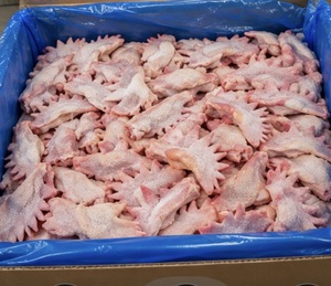 Ailes de poulet surgelées (POULTRY) - Product Image 2