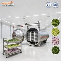 Machine de lyophilisation sous vide en acier inoxydable de qualité alimentaire pour légumes, épinards, céleri et oignons