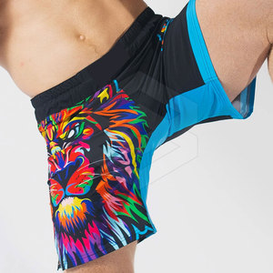 Pantalones Cortos de Boxeo MMA con Logotipo Personalizado, Servicio OEM, Pantalones Cortos de MMA de Color Personalizado en Venta 2026 - Product Image 5